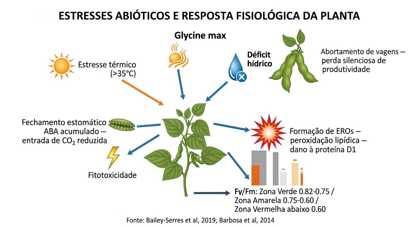 Diagrama BioRender dos três principais estresses abióticos e as respostas fisiológicas que determinam a resiliência metabólica das plantas