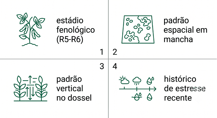 Senescência Foliar em Soja