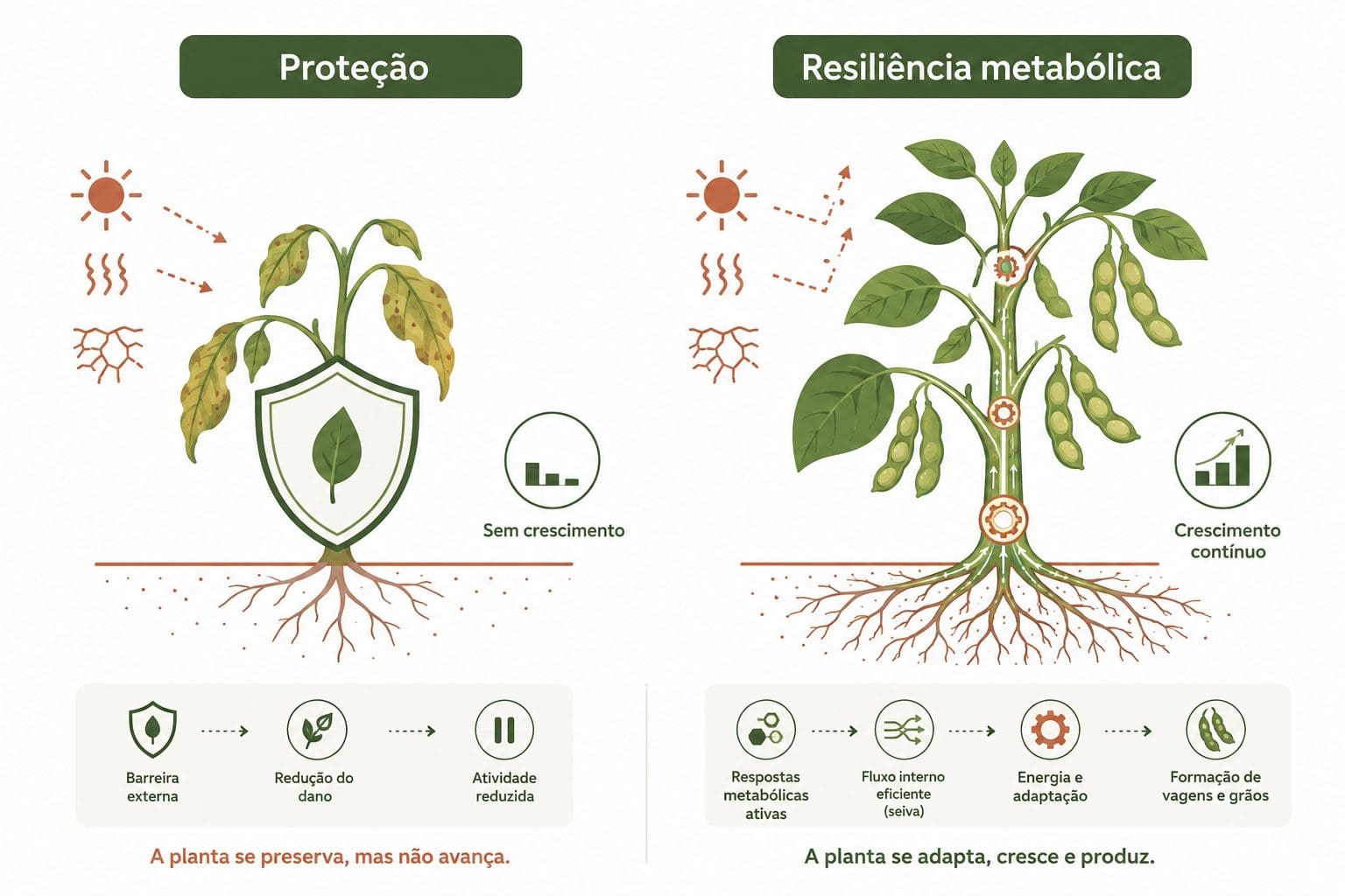 Proteção versus resiliência metabólica em plantas