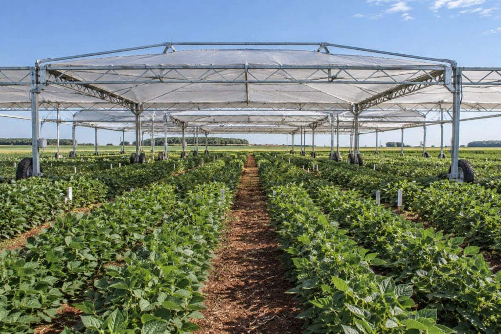 Estrutura de abrigo móvel sobre uma lavoura, usada em experimentos de déficit hídrico controlado