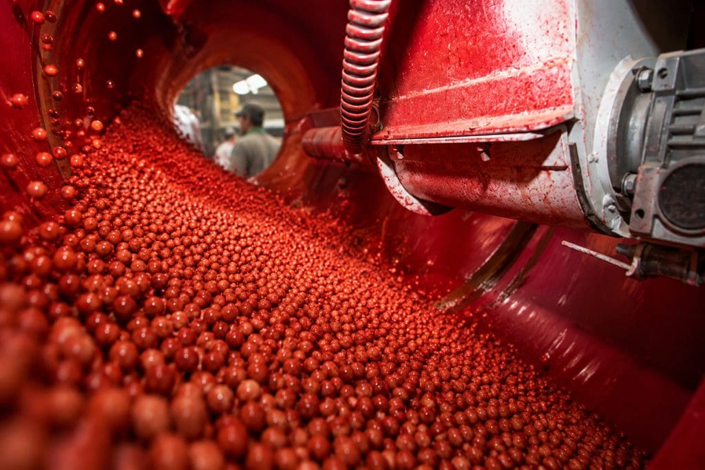 Sementes de soja em tratamento industrial com inoculante líquido