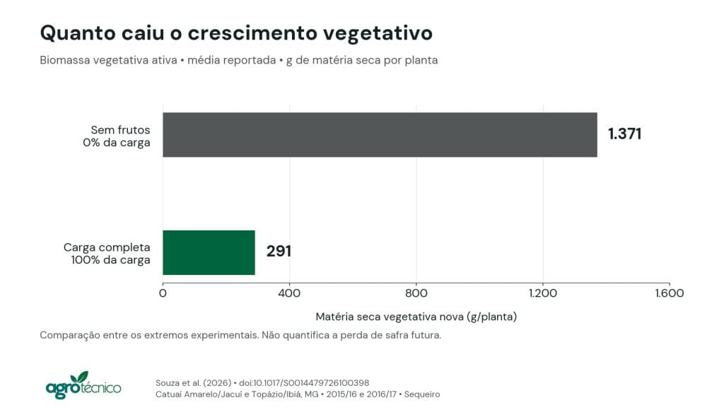 Gráfico de barras de biomassa vegetativa nova com 1.371 gramas por planta sem frutos e 291 gramas por planta sob carga completa.